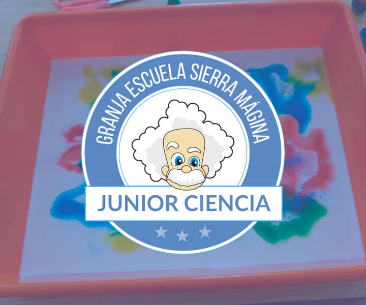 Junior-Ciencia